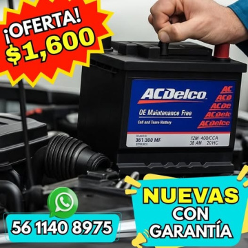 Batería ACDelco 
