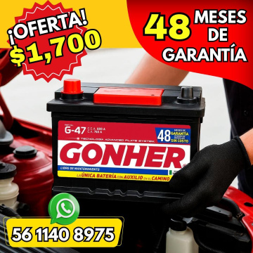 Batería Gonher 
